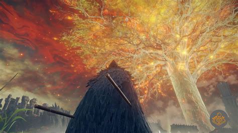 Do You Have To Burn The Erdtree In Elden Ring How To Game