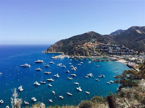 Catalina Island Wdiscover Avalon Scenic Tour And Hotel Transfers Los Angeles