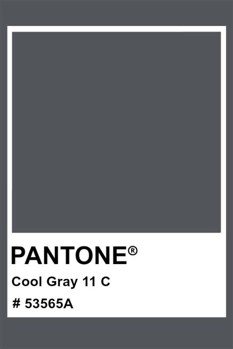 Pantone Cool Gray 11 C Pantone Color Pms Hex Pantone Colour
