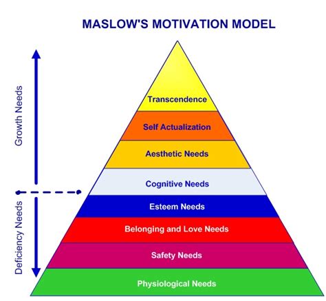 Maslows Hierarquia Das Necessidades Fisiológica Segurança Social