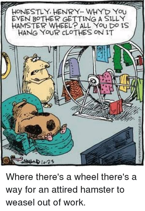 25 Best Memes About Hamster Wheel Hamster Wheel Memes
