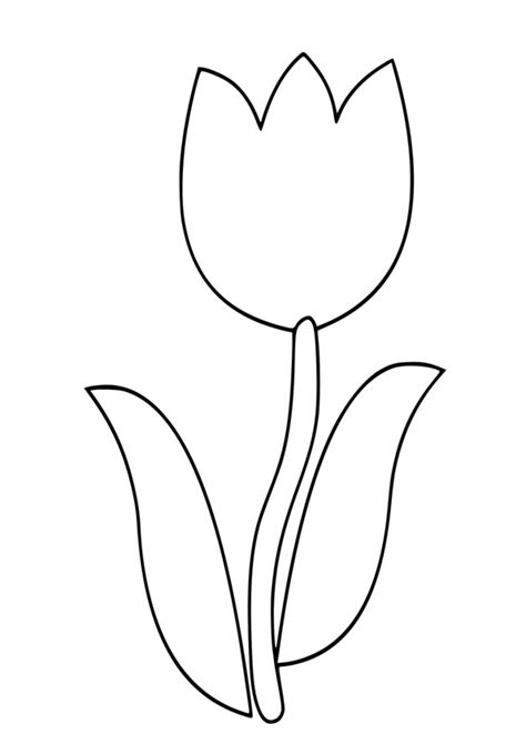 Simple Tulip Coloring Pages