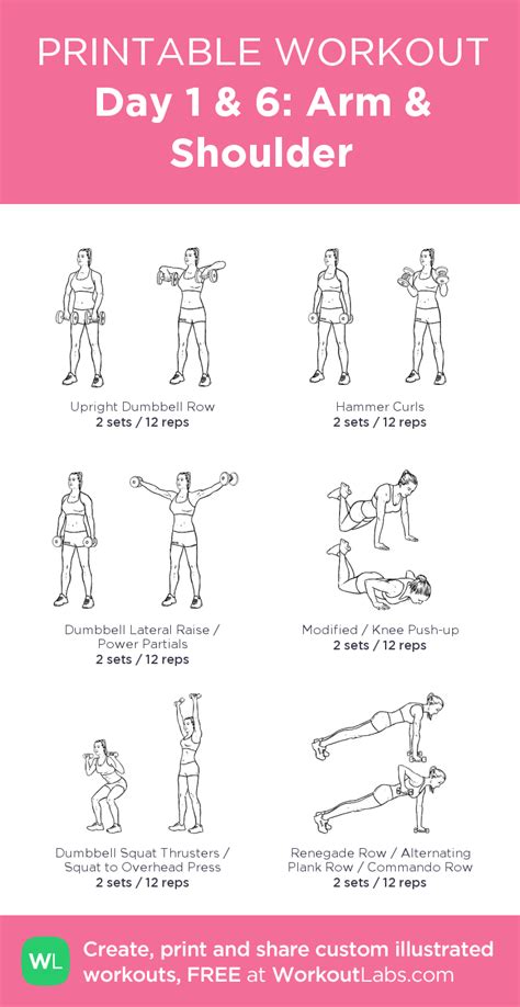 Day 1 And 6 Arm And Shoulder Arm Workout Gym Workout Labs Gym Workout