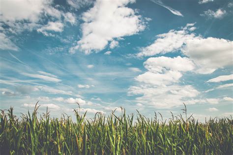 Free Images Landscape Horizon Cloud Plant Sky Sun Field Meadow