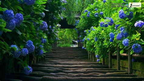 Find the best 3d nature wallpaper on wallpapertag. Full Size HD Wallpapers For PC - Wallpaper Cave