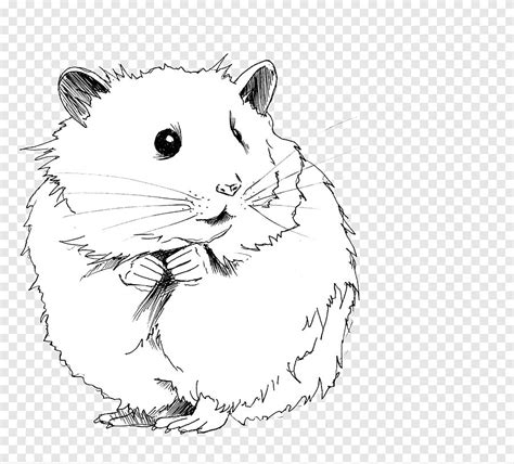 Gerbil Drawing Roborovski Hamster Hamster Wheel Mammal Cat Like