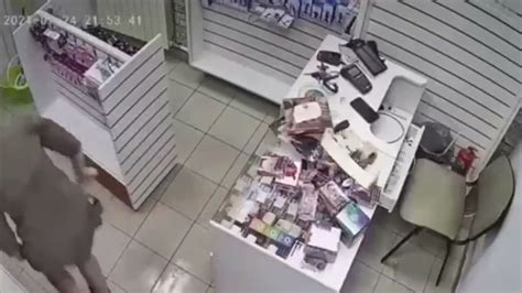 Sex Shop Woman Chases Off Robber Using Dildo Youtube