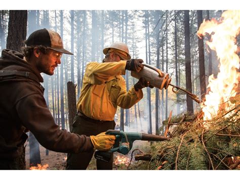 Fighting Fire With Fire In California Science Smithsonian Magazine