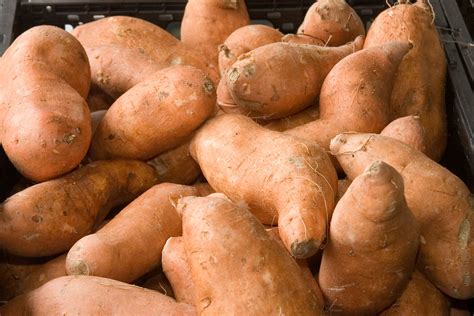 Sweet Potatoes Sweet Potatoes Wally Hartshorn Flickr