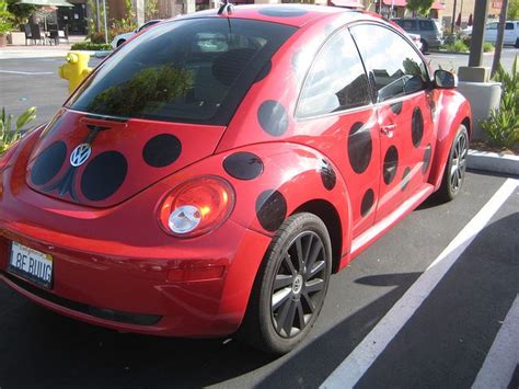 Ladybug Vw By Anna Sunny Day Via Flickr Dream Cars Bmw Car Car