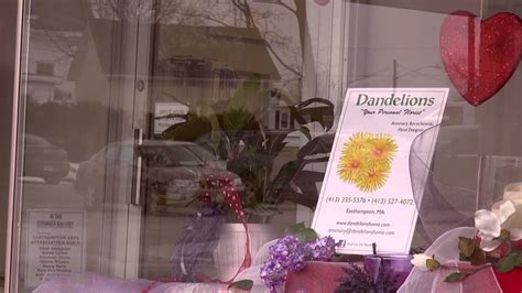 Easthampton Chamber Video Spotlight Dandelions Florist YouTube