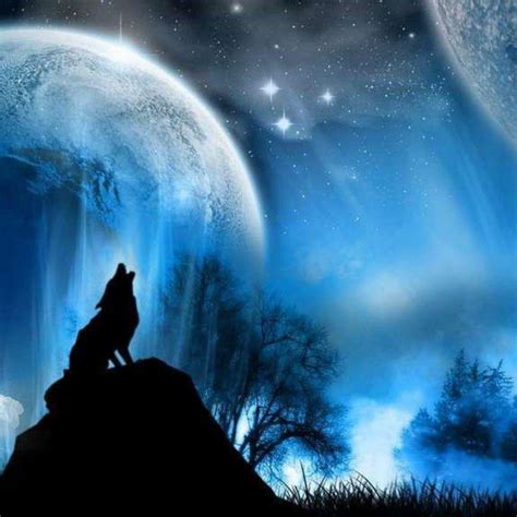 10 New Wolf Wallpaper Hd 1080p Full Hd 1920×1080 For Pc Background 2021