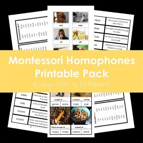 Montessori Homophones Printable Pack In 2021 Word Study Activities
