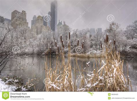 Central Park New York City Snow Storm Stock Image Image