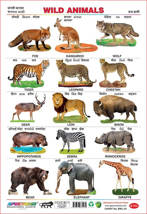 Top 116 Wild Animals Chart With Names In Hindi