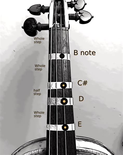 Violin Fingering Notes And Finger Placement On A String
