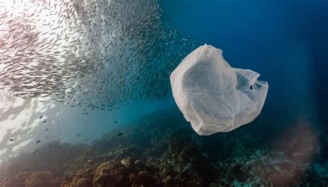 6 Wild Ways Were Cleaning Ocean Trash