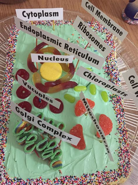 How To Make An Animal Cell Cake In 10 Steps Artofit
