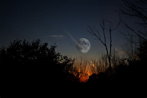 Hintergrundbilder Sonnenlicht Bäume Nacht Himmel Mond Abend