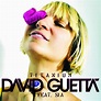 Green Boy's World: Song of the WEEK 137: David Guetta & Sia - Titanium