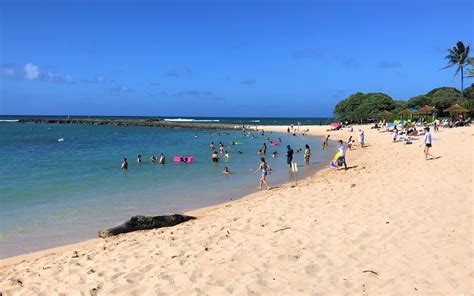 Turtle Bay Resort Beach Cottages On Oahu Hawaii Review Turning Left