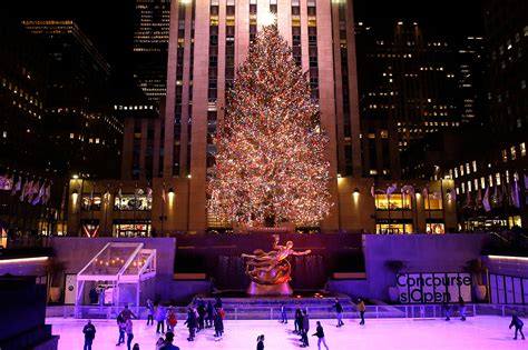 Rockefeller Center Tree Is The Most Searched Christmas Tree