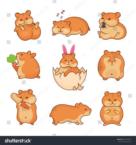 Set Vector Illustrations Golden Hamsters Collection Stock Vector