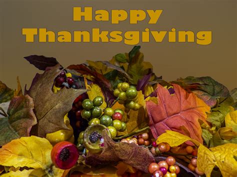 Thanksgiving Background Free Stock Photo Public Domain Pictures