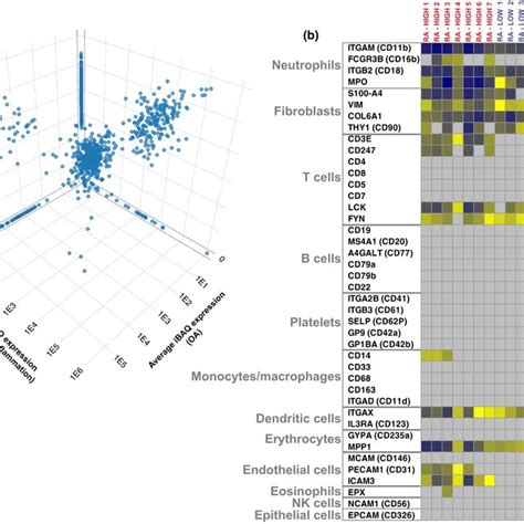 Expression Of Cellular Lineage Markers In Proteomics Dataset A D