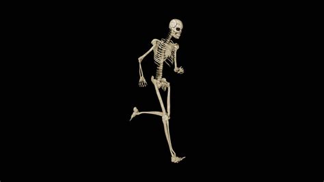 A Skeleton Running Fast Loops Stock Footage Video 2607380 Shutterstock