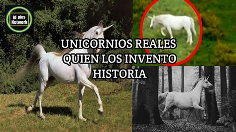 Historia Del Unicornio 🦄quien Invento A Los Unicornio Existieron Los