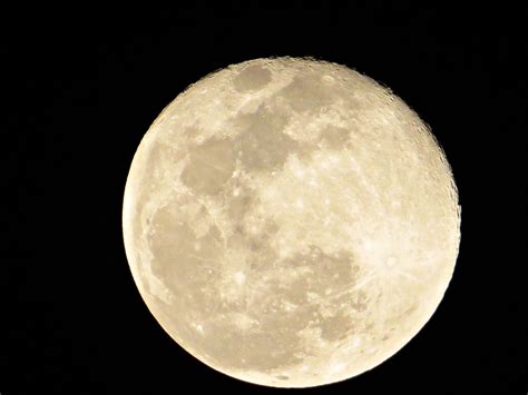 Full Moon At Midnight Close Up Free Stock Photo - Public Domain Pictures
