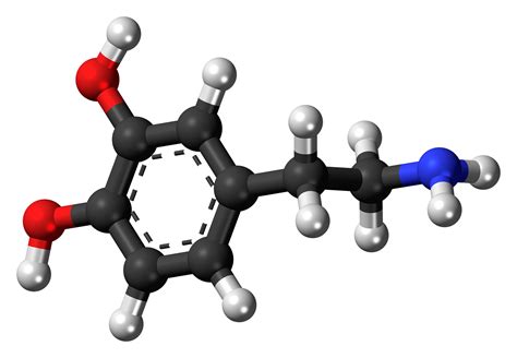 What Is A Dopamine Molecule And How Does It Affect Me Betterhelp