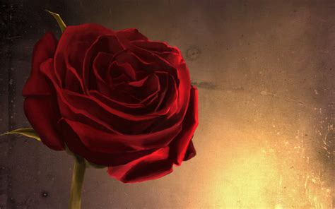 Glow Rose Fire Art Flower Wall Close Up Red Wallpapers Hd