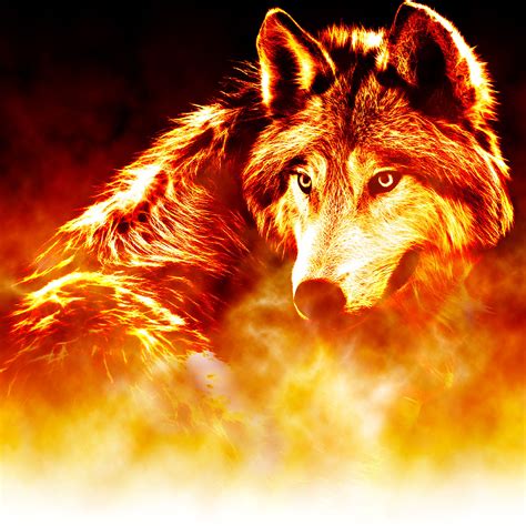 Coverbild Zu Werwolf Saga Band 2 Feuer Des Verlangens Wolf Spirit