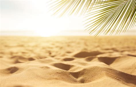 Wallpaper Sand Sea Beach Summer The Sky The Sun Palm