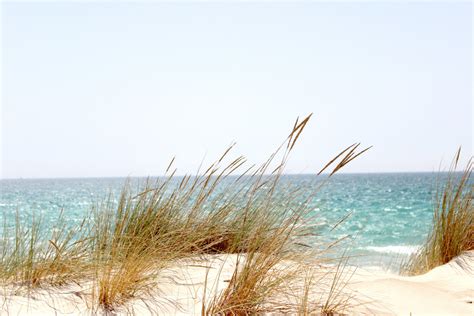 Free Images Sea Beach Sky Water Natural Landscape Shore Sand