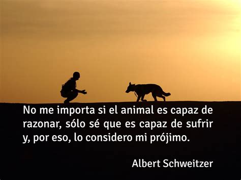 Frases De Amor A La Tierra Amor Animales Frases Perros Frases