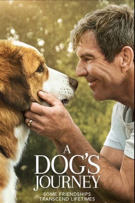20 Best Dog Movies To Watch Best Movies About Dogs To Stream