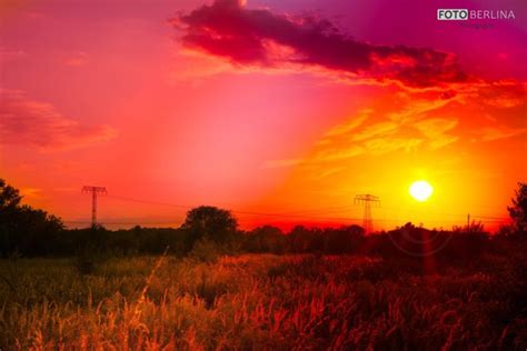 Beach Sky Sunset Sun Trees Lake Clouds Colour Color Sea Landscape Wallpapers Hd