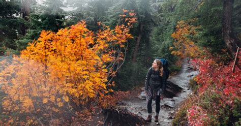 Everything You Need To Know To Have The Best Fall Hike Ever Mindbodygreen