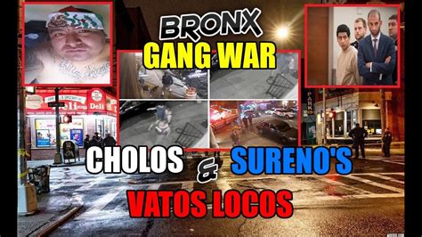 Bronx Gang War Cholos Surenos And Vatos Locos Courtlandt Avenue