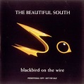 The Beautiful South Blackbird On The Wire UK Promo CD single (CD5 / 5 ...