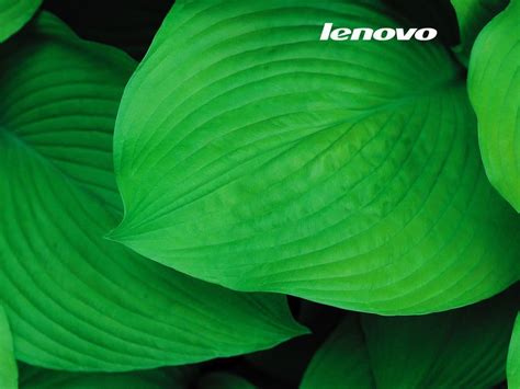 50 Wallpaper Hp Lenovo New Wallpapers Free