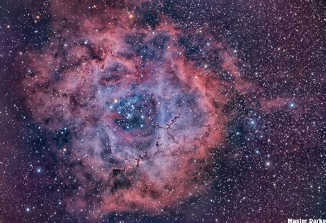 Caldwell 49 Rosette Nebula Master Darks