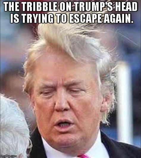 Trump Hair Imgflip