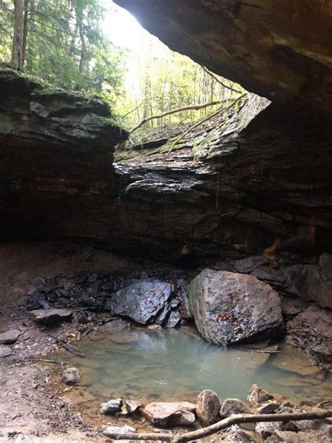 Native forest and large rock outcrops line the upper part of big raccoon creek. Trip Report: Raccoon Creek State Park in Pennsylvania ...