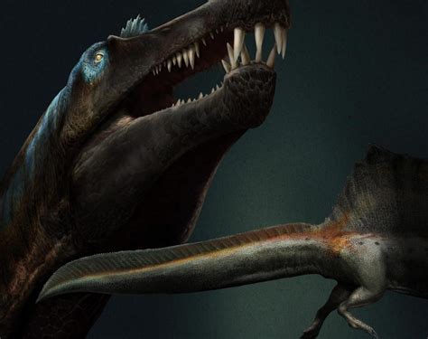 New Research On Spinosaurus Dinosaur Tooth Numbers Lends Support That