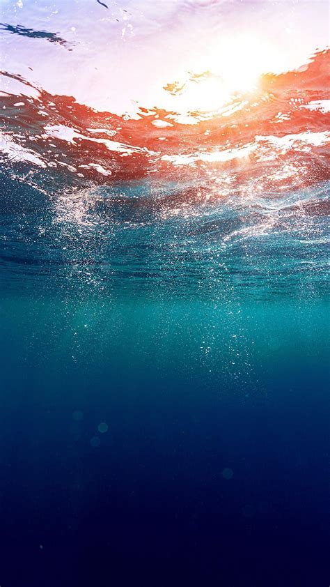 Underwater iPhone Wallpapers Top Những Hình Ảnh Đẹp