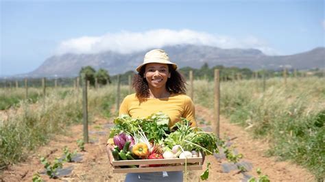 How To Build A Successful Agriculture Career Without Experience In Farming Or Formal Agriculture